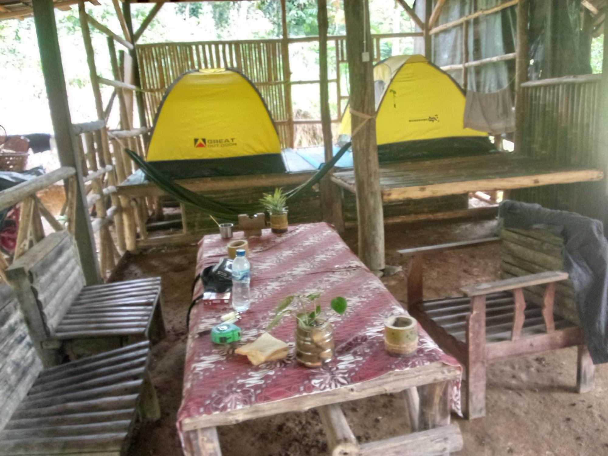 Landak River Guest House Only Trekking With Us Букит Лаванг Екстериор снимка